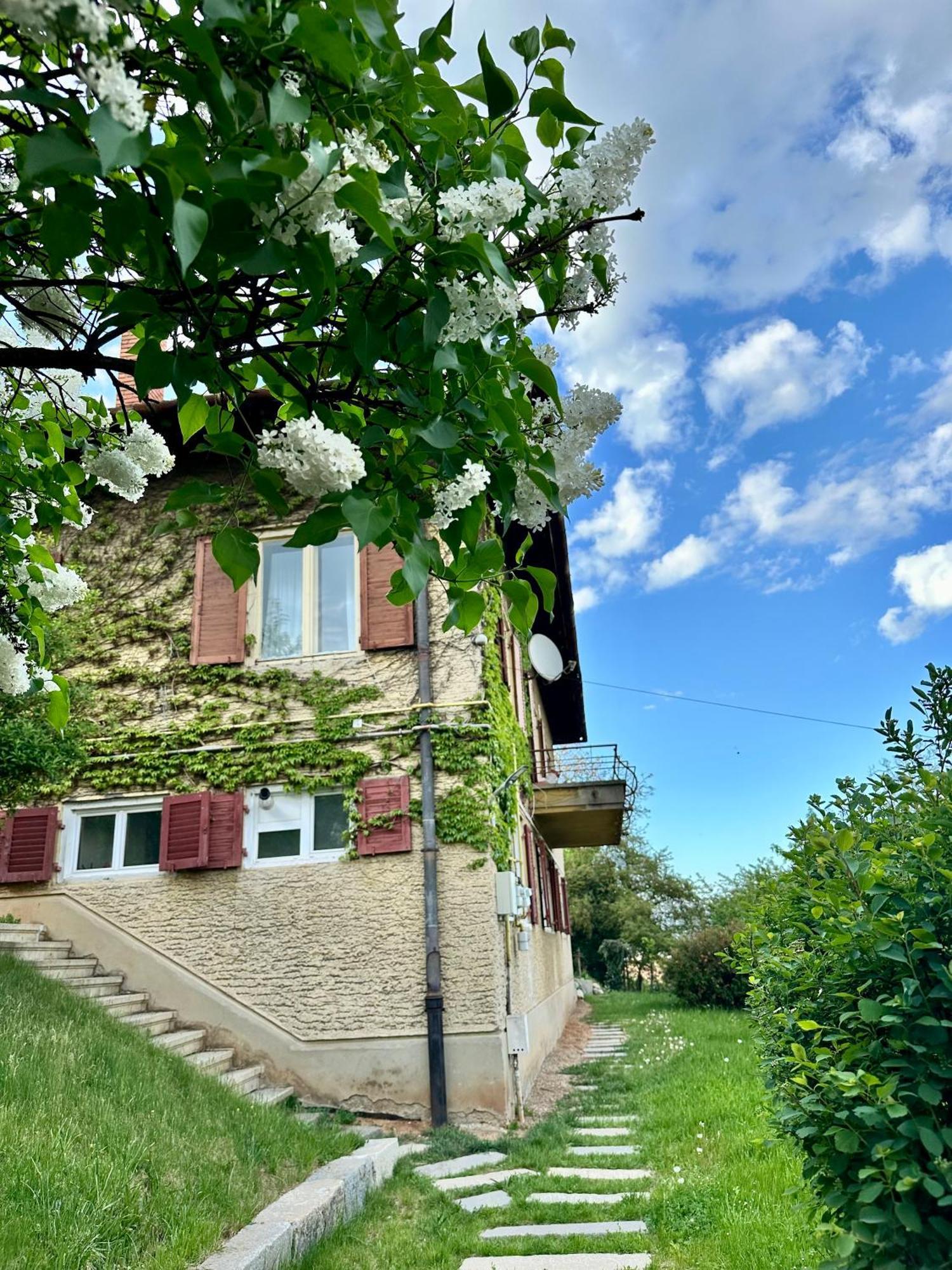 Cloos - Elegant Residence With Panoramic View Brasov Bagian luar foto